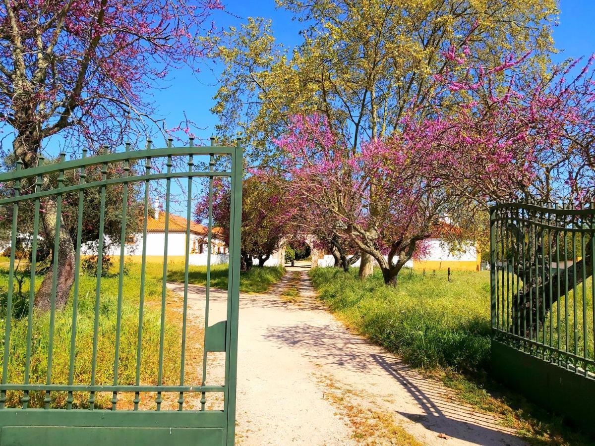 Casas Herdade Do Convento Da Serra Almeirim Kültér fotó