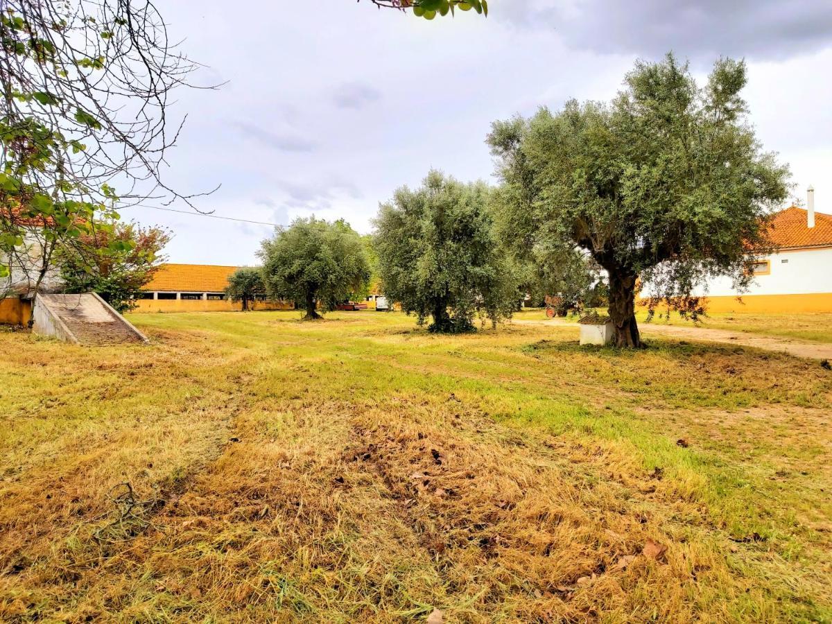 Casas Herdade Do Convento Da Serra Almeirim Kültér fotó