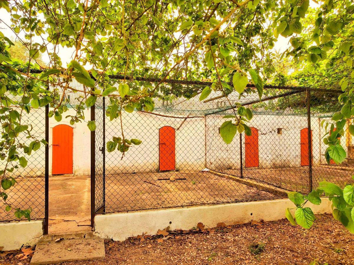 Casas Herdade Do Convento Da Serra Almeirim Kültér fotó