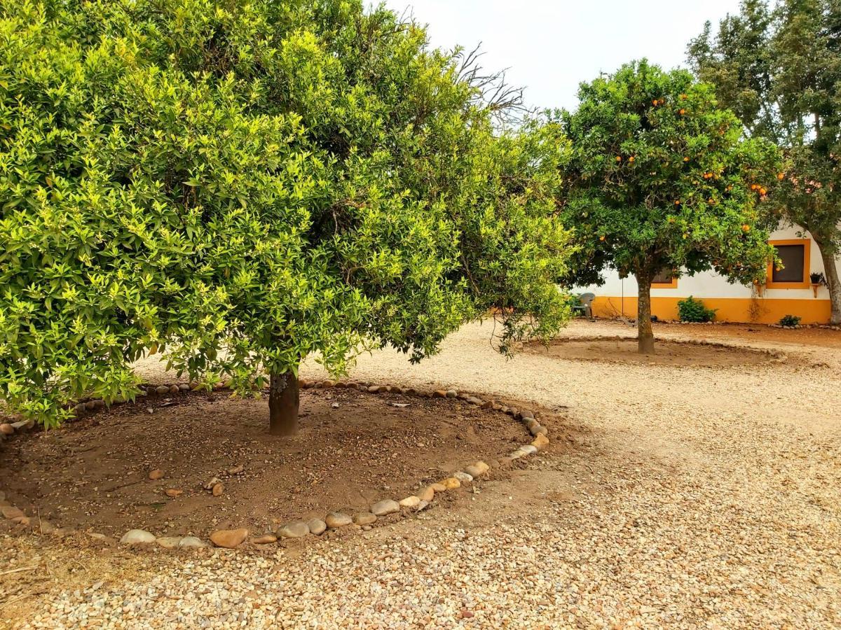 Casas Herdade Do Convento Da Serra Almeirim Kültér fotó