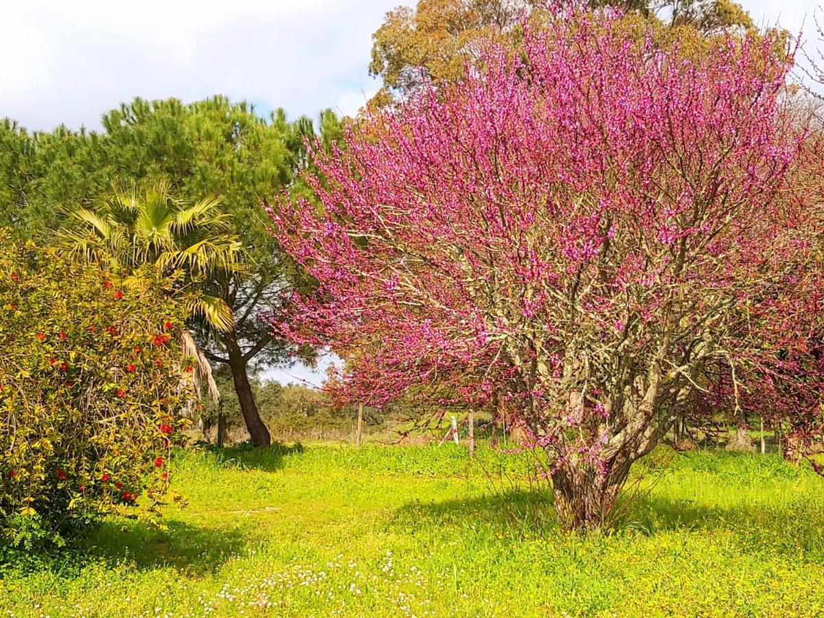 Casas Herdade Do Convento Da Serra Almeirim Kültér fotó