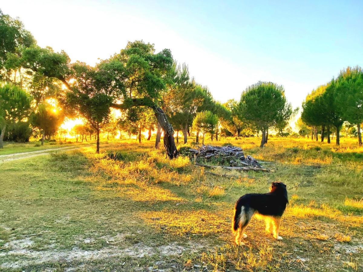 Casas Herdade Do Convento Da Serra Almeirim Kültér fotó