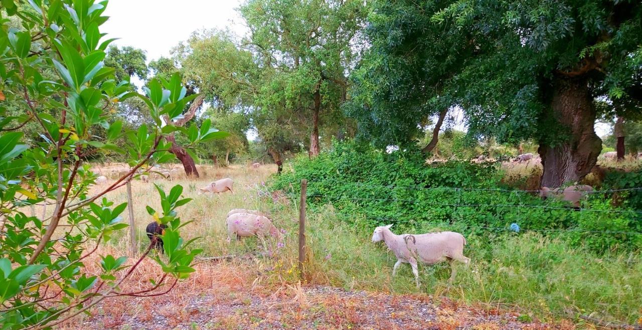 Casas Herdade Do Convento Da Serra Almeirim Kültér fotó