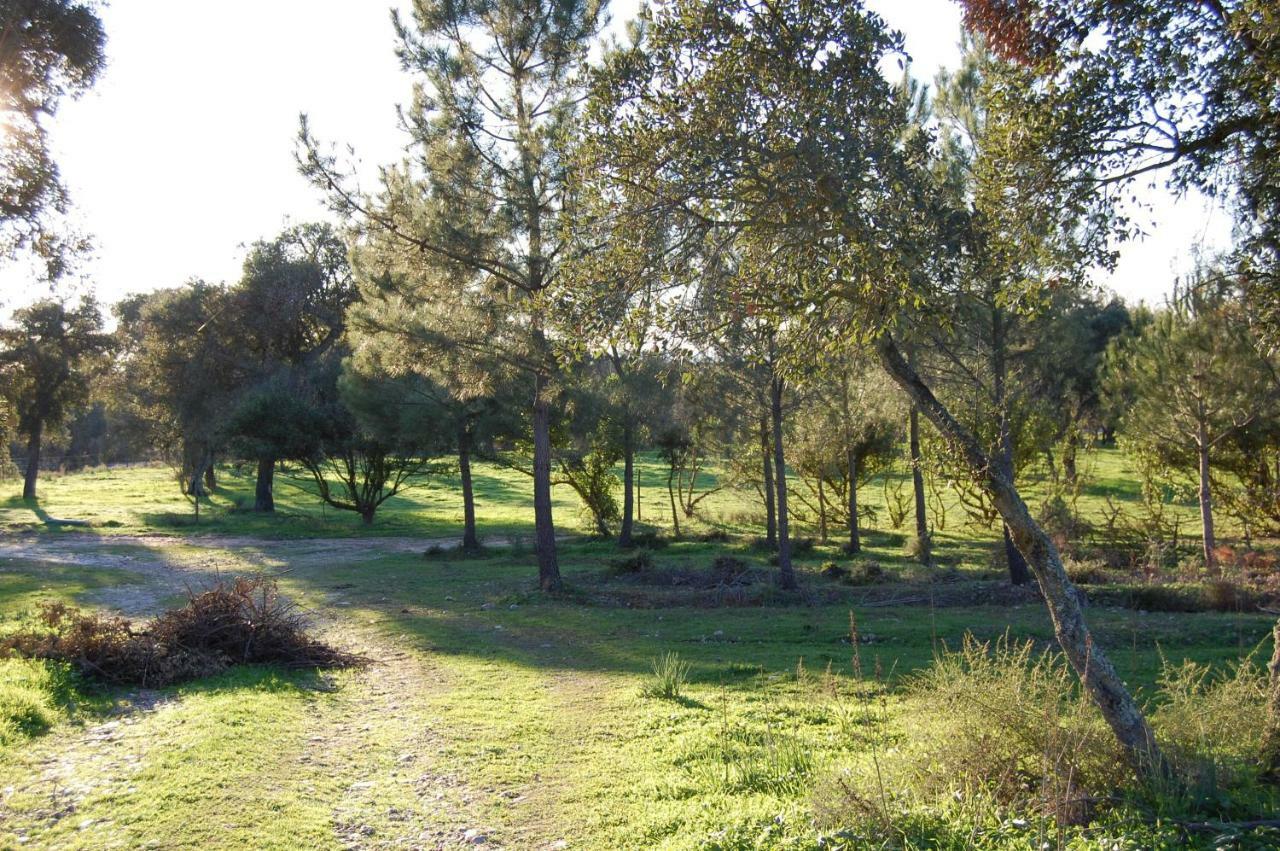 Casas Herdade Do Convento Da Serra Almeirim Kültér fotó
