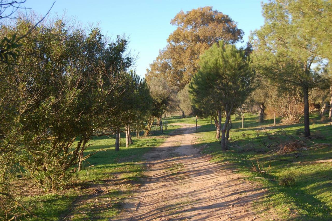 Casas Herdade Do Convento Da Serra Almeirim Kültér fotó
